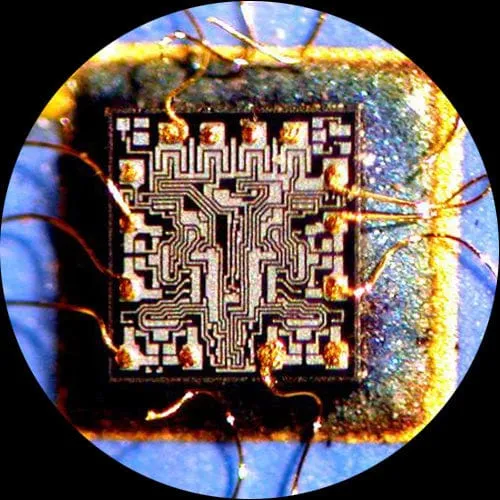AmScope SM-6 Series Zoom Trinocular Stereo Microscope 3.5X-45X Magnification on Articulating Arm with Fluorescent Light and 1.3MP Camera