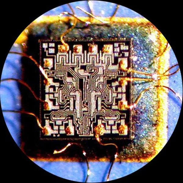 AmScope SM-6T Series Trinocular Articulating Zoom Microscope 7X-45X Magnification With Ring Light
